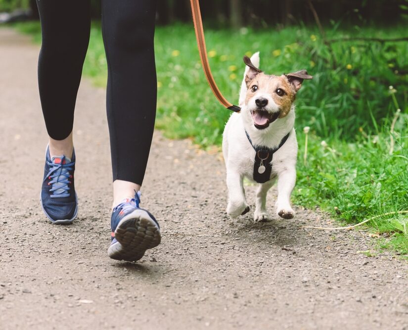 Woman,Running,With,Dog,To,Workout,During,Morning,Walk